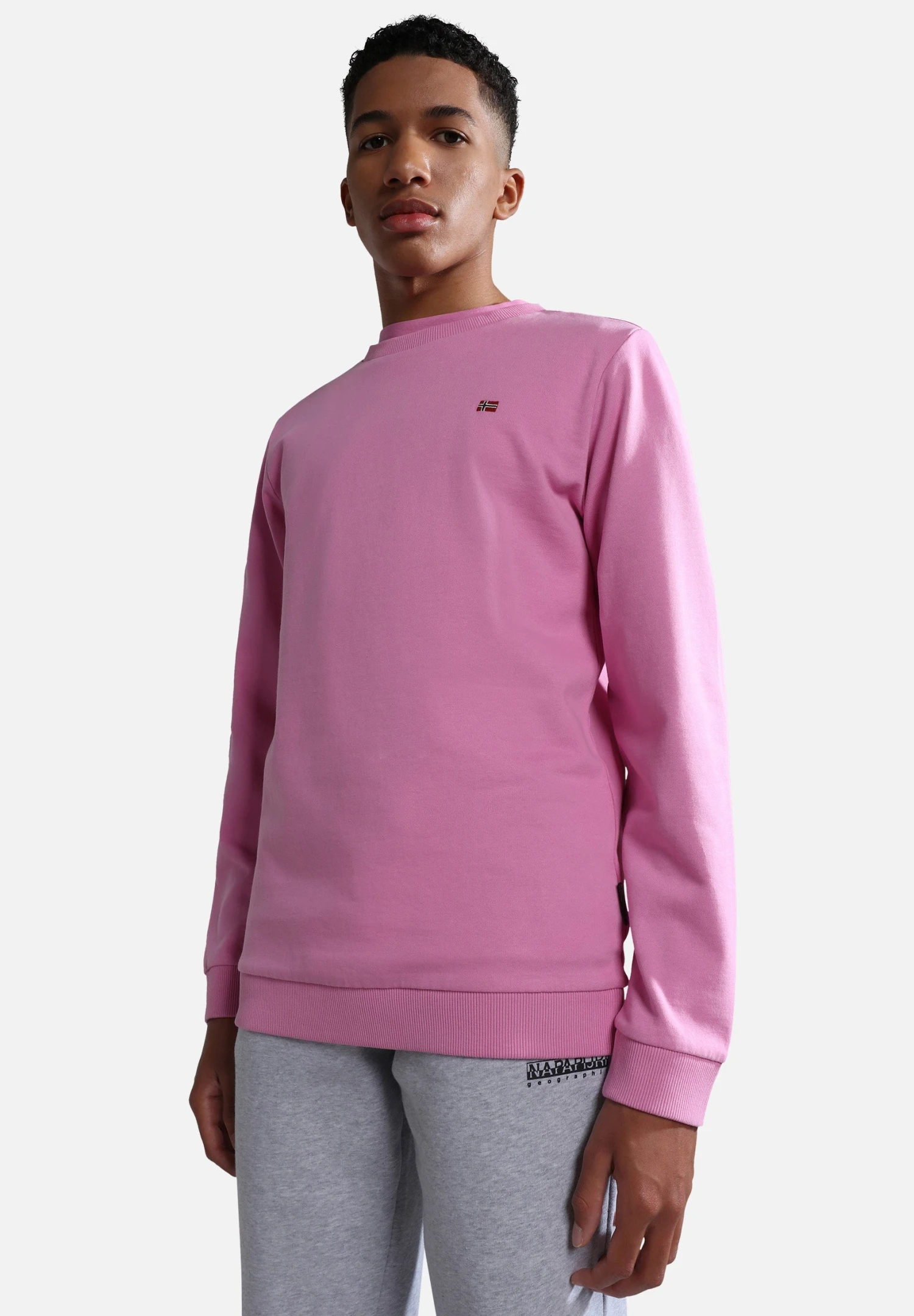 Napapijri Balis Crew - Sweatshirt 2 Napapijri Balis Crew - Sweatshirt – Image 2