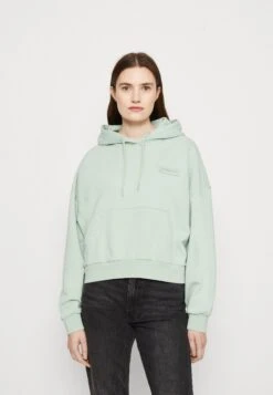 Napapijri Morgex - Sweat À Capuche - Green Frost