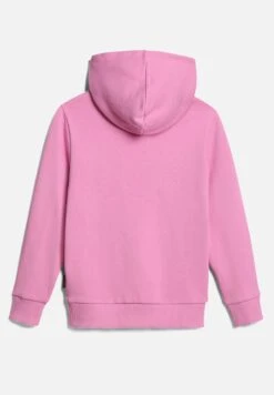 Napapijri Zamora - Sweatshirt - Pink Cyclam -Napapijri b4130b8eb3bf4b91a6b09f5510b60931