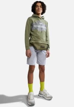 Napapijri Pinzon - Sweat À Capuche - Green Lichen