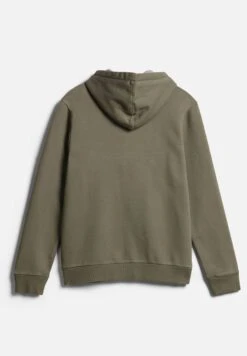 Napapijri Burgee Winter - Sweat À Capuche - Green Lichen -Napapijri e2dc49b6f95f42aeba77dd0cab5af6d3